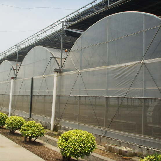 Membrane greenhouse