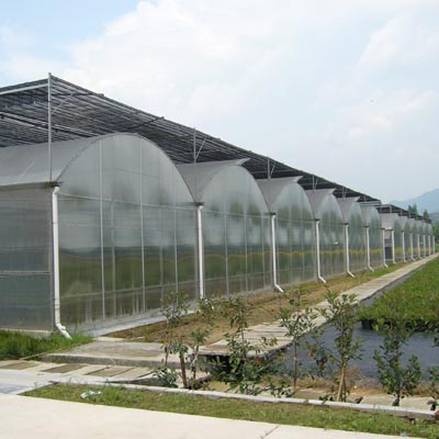 Polycarbonate plate greenhouse