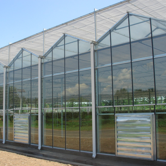 Venlo type greenhouse